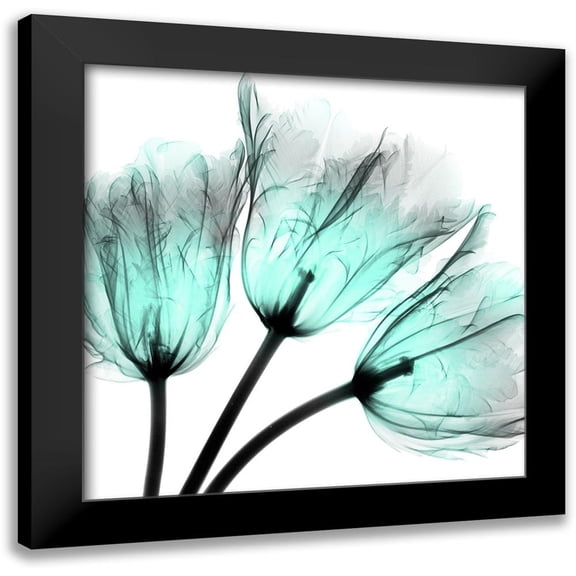 Koetsier, Albert 12x12 Black Modern Framed Museum Art Print Titled - Cool Growth