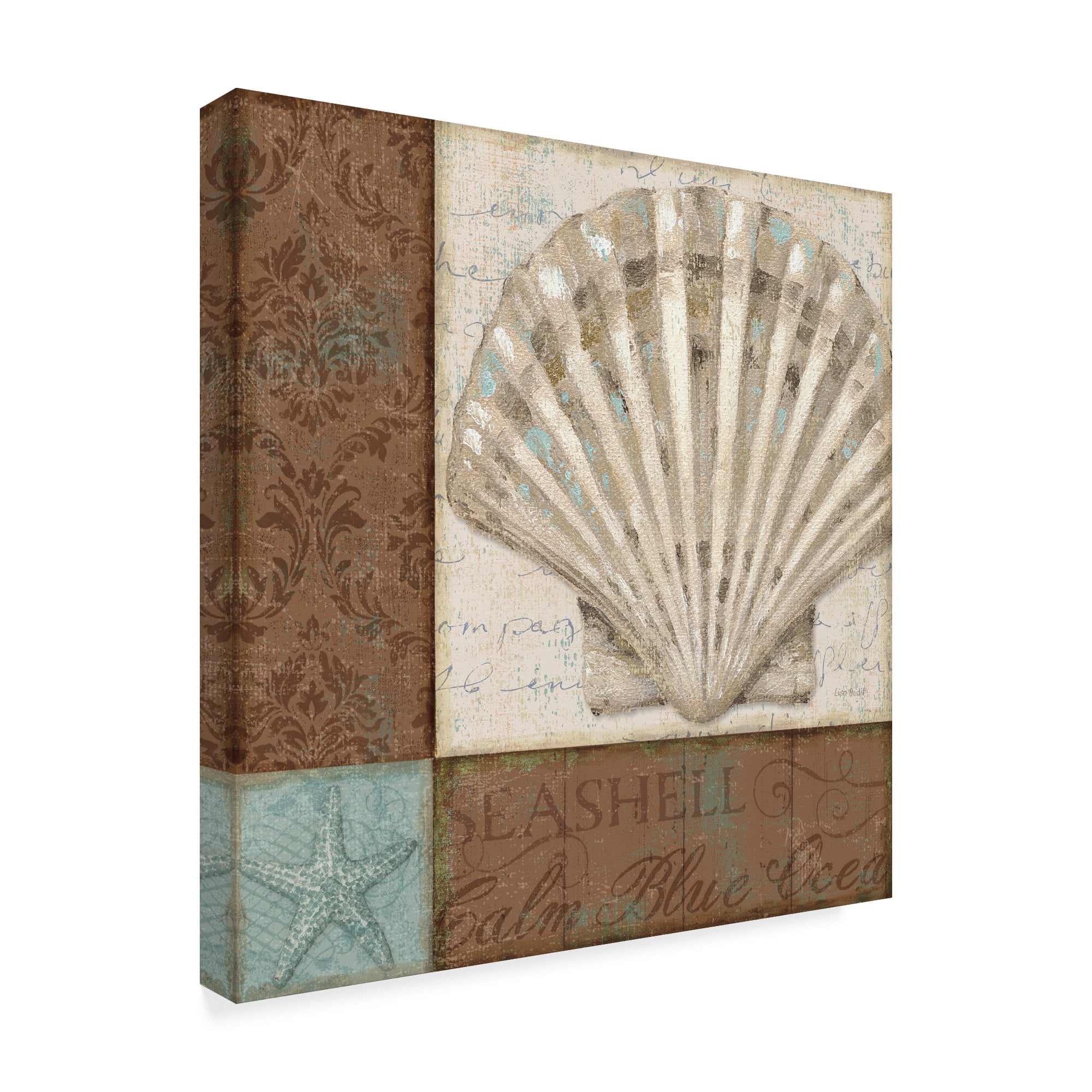 Trademark Fine Art 'Brown and Teal Shell I' Canvas Art by Lisa Audit