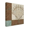 thumbnail image 2 of Trademark Fine Art 'Brown and Teal Shell I' Canvas Art by Lisa Audit, 2 of 3