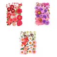 thumbnail image 1 of Paquete De 3 Pétalos De Flores Secas, Artesanía, Resina Epoxi, Joyería, Fabricación De Jabón, 1 of 9