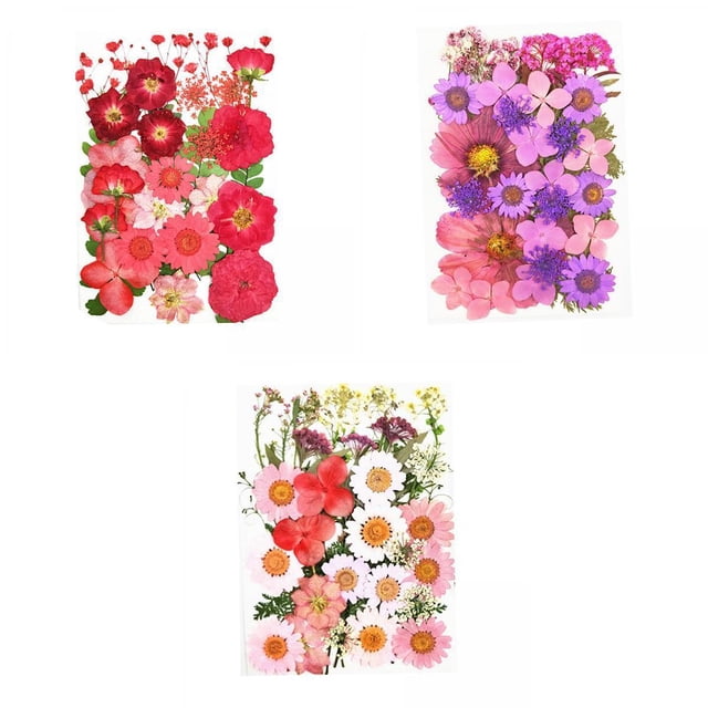 Paquete De 3 Pétalos De Flores Secas, Artesanía, Resina Epoxi, Joyería, Fabricación De Jabón