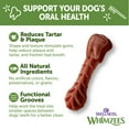 thumbnail image 3 of Wellness® WHIMZEES® Brushzees Natural Grain Free Dental Chews for Dogs, Extra Small Breed, 48 count, 3 of 11