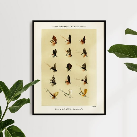 Trout Flies 5 Digitally enhanced from our own original 1892 Edition | Mary Orvis Marbury | Premium Fine Art Print | 19th Century American | Fly Fishing | Portrait | Architecture