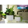 thumbnail image 4 of Flora Bunda 6IN & 4.75IN Evil Eye Ceramic Footed Planter,Set of 2, Matte White, 4 of 9