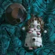 thumbnail image 3 of POP MART Skullpanda Everyday Wonderland Series Mystery Box Anime Original Figure Collection Model Desktop Ornaments Doll Toys, 3 of 5