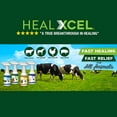 thumbnail image 3 of HealXcel Swine Wound Spray 16oz, 3 of 6