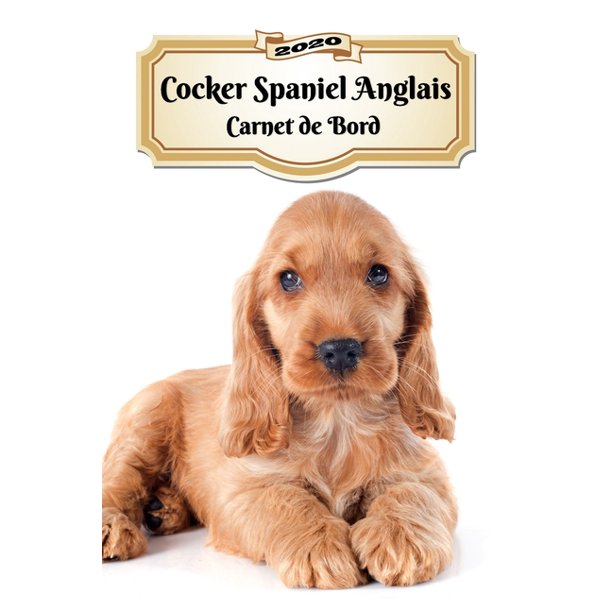 Cocker Spaniel Anglais Carnet De Bord Chiot Ou Chien 139 Pages 12 Mois Format A5 Agenda Journalier Planificateur Semainier Simple Walmart Com Walmart Com