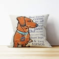 thumbnail image 3 of Dachshund Throw Pillow Case, Dog Lover Gifts, Dachshund Dog Decor, Funny Dachshund Dog Pillow Cover, Doxie Mom Gifts, 18 x 18 Inch Cushion Cover for Sofa Couch Bed, 3 of 5
