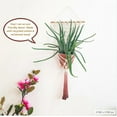 thumbnail image 6 of Handmade and Dip-Dyed Macrame Plant Hanger, 6 of 11