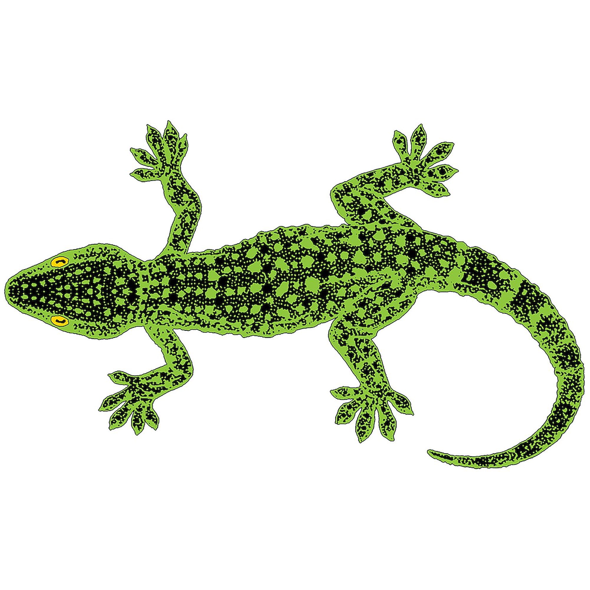 CafePress - Gecko - Large Beach Towel, Soft 30"x60" Towel with Unique Design