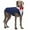 Blue, variant on QBLEEV Dog Formal Tuxedo Suit for Medium Large Dogs,For Costume Wedding Party Outfit with Detachable Collar,Elegant Dog Apparel Bowtie Shirt and Bandana Set for Dress-up Cosplay Holiday Wear