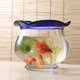 thumbnail image 4 of IFANLANDOR 4Ud De Entrenamiento Para Peces Betta Con Ventosa De Plástico Para Acuario, 4 of 7