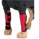 thumbnail image 1 of Rodilleras para mascotas con barras de soporte, protectores de piernas para perros, protector de piernas para perros, cubierta para lesiones quirúrgicas, L, 1 of 5