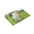 thumbnail image 3 of MKHERT Guinea Pig Dutch Rats Doormat Rug Home Decor Floor Mat Bath Mat 30x18 inch, 3 of 3