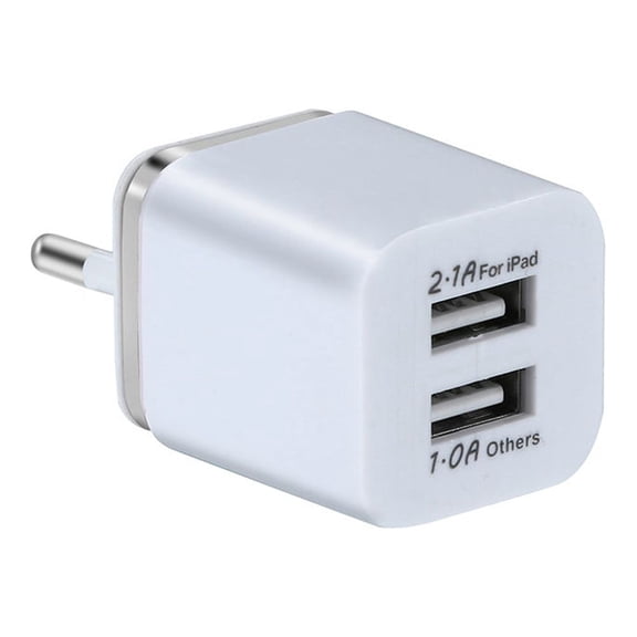 European Dual USB A Fast Charger Europe Travel Adapter Block for iPhone 17 16 15 14 13 12 Pro Max SE iPad Samsung Pixel Moto EU Euro International Wall Plug France Spain Israel 40W PD PPS