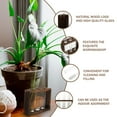 thumbnail image 3 of Wooden Rack Hydroponic Ornaments Vase Minimalist Home Decor Glass House Plants Indoors Live, 3 of 6