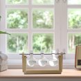 thumbnail image 2 of Desktop Glass Plants Bulb Terrarium with Wooden Stand for Hydroponics Plants home and garden Wedding Decoration Gift - 14x28cm, 2 of 7