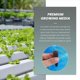 thumbnail image 3 of Plant Growing Plugs Sponges for Hydroponic Plants Growth, Pack of 50, 3 of 5