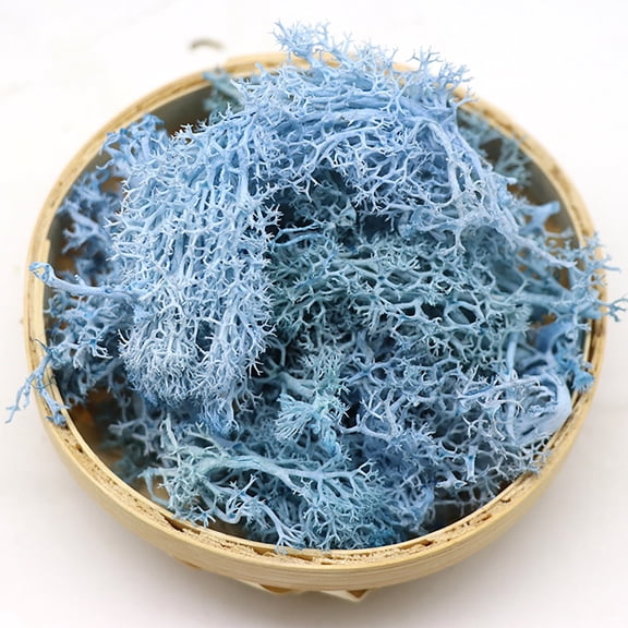 VINOIC Potted Plants Garden Moss, Natural Artificial Floral Background Decor, 1-Pack 10g Fake Greenery for Crafts for Potted Plants Garden Decoration Immortal Natural Dry Moss Wedding Party