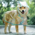 thumbnail image 1 of Cappotto Impermeabile per Cani Gatto con cappuccio, Regolabile PVC transparente poncho impermeable ultraleggero, Per cani di piccola taglia（Blu, XS） Zefei Wu 9024735038245, 1 of 5