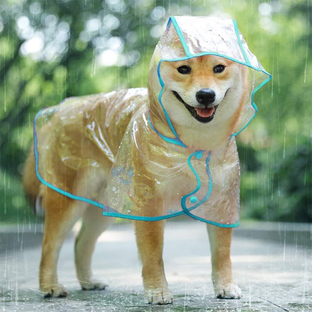 Cappotto Impermeabile per Cani Gatto con cappuccio, Regolabile PVC transparente poncho impermeable ultraleggero, Per cani di piccola taglia(Blu, XS) Zefei Wu 9024735038245