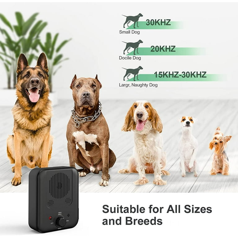 Stop dog barking device outdoor top