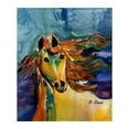 thumbnail image 1 of Betsydrake BK1173 Colorful Horse Throw, 1 of 1