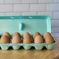 thumbnail image 4 of Green 12-Egg Blank Styrofoam Carton - 50 pack, 4 of 6