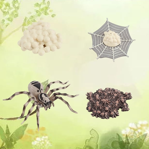 Herrnalise ROLLBACK Simulation Arthropod Life Cycle of a Spider Bee Ladybugs Model