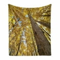 thumbnail image 1 of Nature Soft Flannel Fleece Throw Blanket, Image of up View of Fall Aspen Tree Leaves in Faded Tone Autumn Season Photography, Cozy Plush for Indoor and Outdoor Use, 60" x 80", Yellow, by Ambesonne, 1 of 6