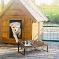 thumbnail image 7 of Elevated Dog Bowl Pet Feeder Stainless Steel Raised Food Water Stand w/ 2 Bowls, 7 of 7