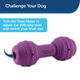 thumbnail image 3 of Dispensador de golosinas PetSafe Busy Buddy Chuckle Sound Toy para perros, 3 of 6