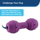 thumbnail image 3 of Dispensador de golosinas PetSafe Busy Buddy Chuckle Sound Toy para perros, 3 of 6