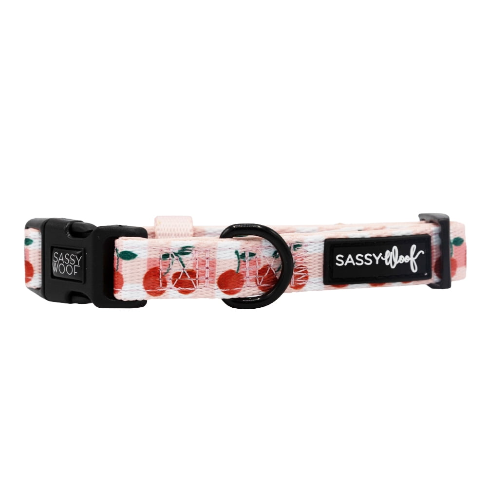 Sassy Woof Cushioned Adjustable Dog Collar - Cherry Cute, Large
