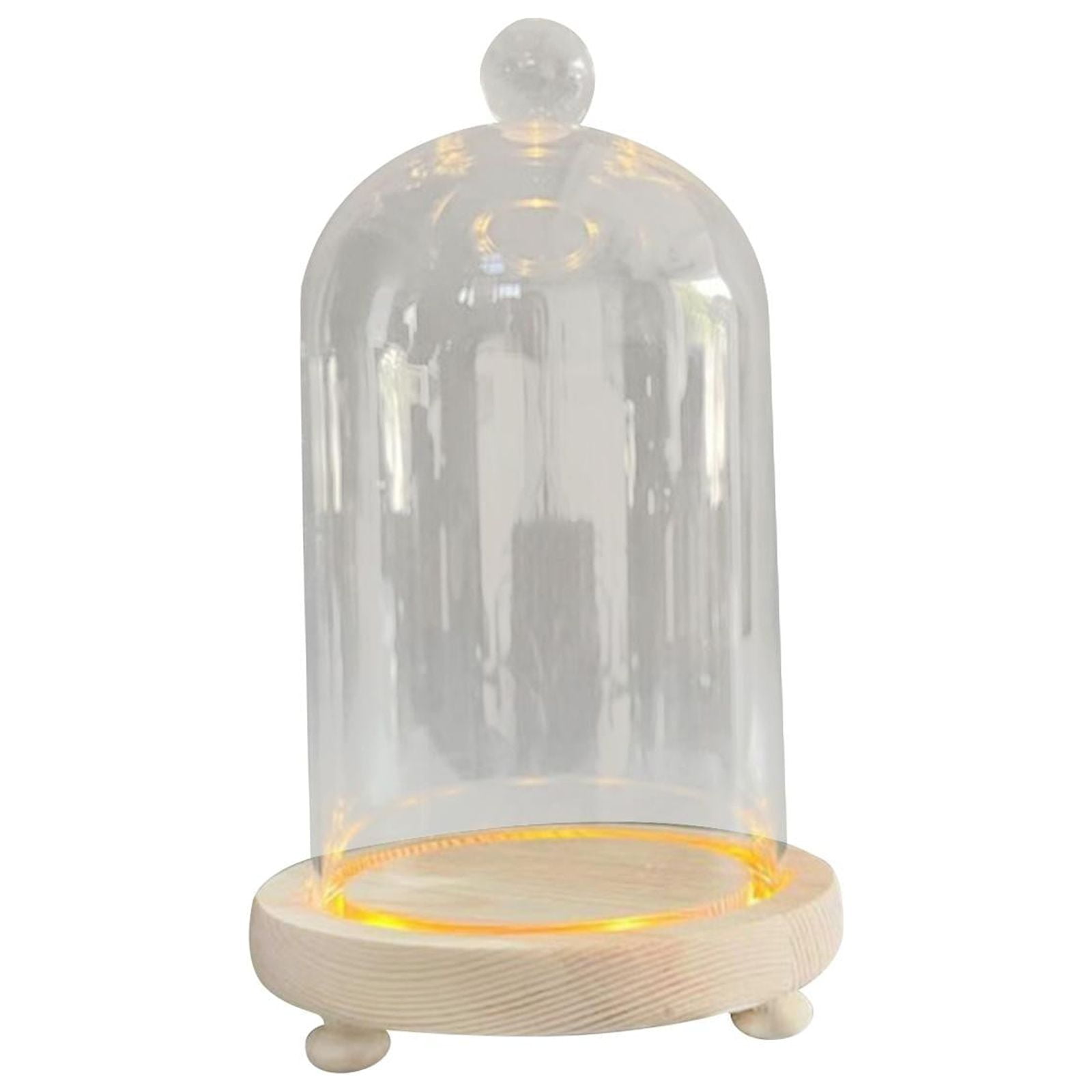 Cloche en Verre Transparent Dôme Cloche Micro Paysage Conteneur Boule