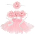 thumbnail image 2 of Baby Girl Tutu Skirt And Flower Headband Photography Outfit For Infants With Adorable Design In Pink For Studio Use 1 Set, 2 of 4