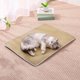 thumbnail image 1 of Decoración del hogar, tapete de verano para perros y gatos, tapete de hielo para mascotas, tapete para perros, tapete universal para dormir, tapete para perrera, tapete de ratán resistente a arañazos, 1 of 8
