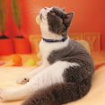 thumbnail image 6 of Basic Adjustable Cat Collar Bling Diamond Breakaway with Bell for Kitten Girl boy, 6 of 6