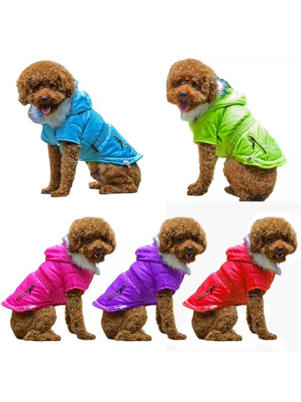 puppy waterproof jacket