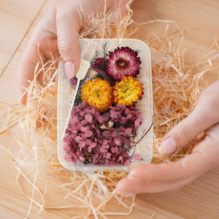 

Simulation Flowers 1 Box Real Dried Flower Resin Fillings Expoxy Flower For Epoxy Resin Jewelry Making Craft DIY Supplies Accessories (Forget Me Not)