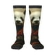 thumbnail image 1 of Balery Jungle Meditating Panda Calcetines novedosos Calcetines deportivos Calcetines hasta la rodilla Calcetines de algodón Calcetines originales y geniales, 1 of 6