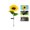 Gold-GD, variant on MMJ Solar Sunflower Garden Light 7 Color Changing LED Waterproof Outdoor Stake Patio Yard Pathway Decor