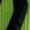 Green, variant on Couple Holding Hands Socks,Funnys Magnetic Suction Doll Couple Socks,Funnys Socks for Children's, Storage and Organization, Hogar Under