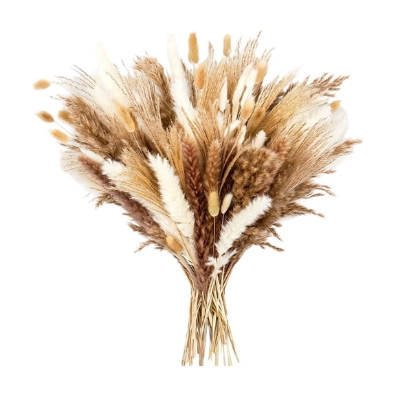 Dvumao Home Decor, Dried Pampas Grass Decor Pampas Grass Contains Bunny Tails Dried Flowers for Wedding Boho Flowers Home Table Decor Village Farm Parties Party