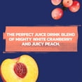 thumbnail image 6 of Ocean Spray Limited Edition White Cran Variety Crisp Juice Drinks, 18ct/10oz, 6 of 8