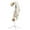 White, variant on Coat Rack Stand with 3 Height Options and 8 Hooks Wooden Tall Freestanding Coat Rack for Home, Office, Entryway, Hallway