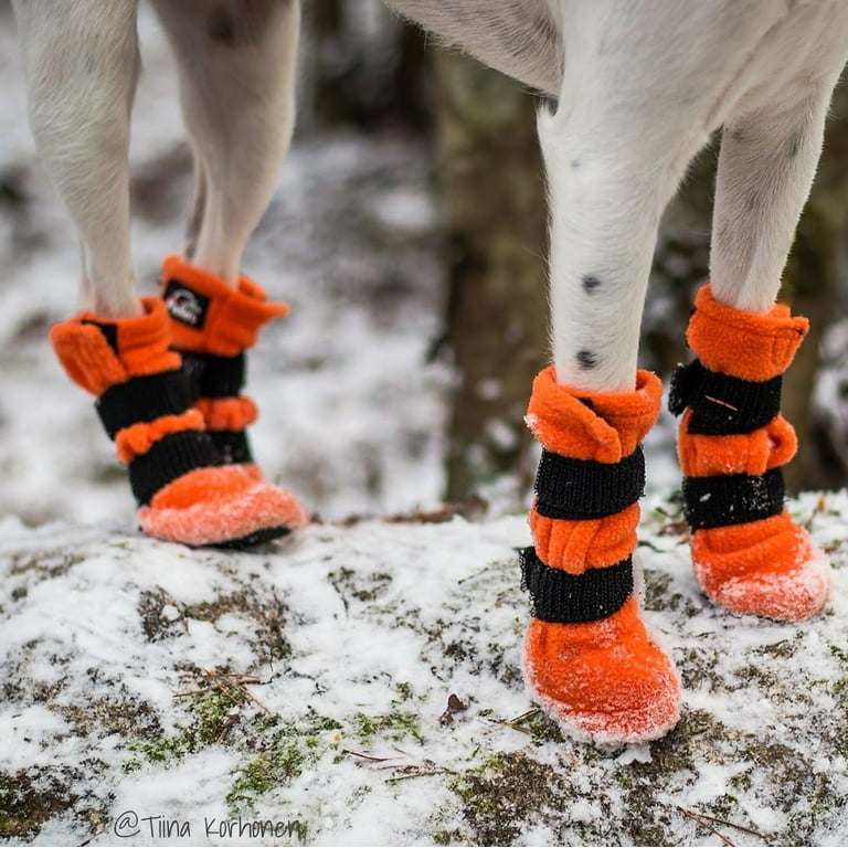 FINNERO HALLA Soft Dog Booties 4 Pcs Pack Orange Size XXS Dog
