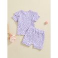 thumbnail image 4 of Bagilaanoe 2pcs Toddler Baby Girl Shorts Set Short Sleeve Floral T Shirt Tops + Shorts 6M 12M 18M 24M 3T 4T Kids Casual Summer Clothes, 4 of 7