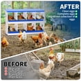 thumbnail image 5 of Chicken Nesting Boxes, 8 Compartment Metal Chicken Egg Laying Box with Lid Cover for Hens/Ducks, Easy Egg Collection Hen Roosting and Coop Use, Blue, 5 of 7
