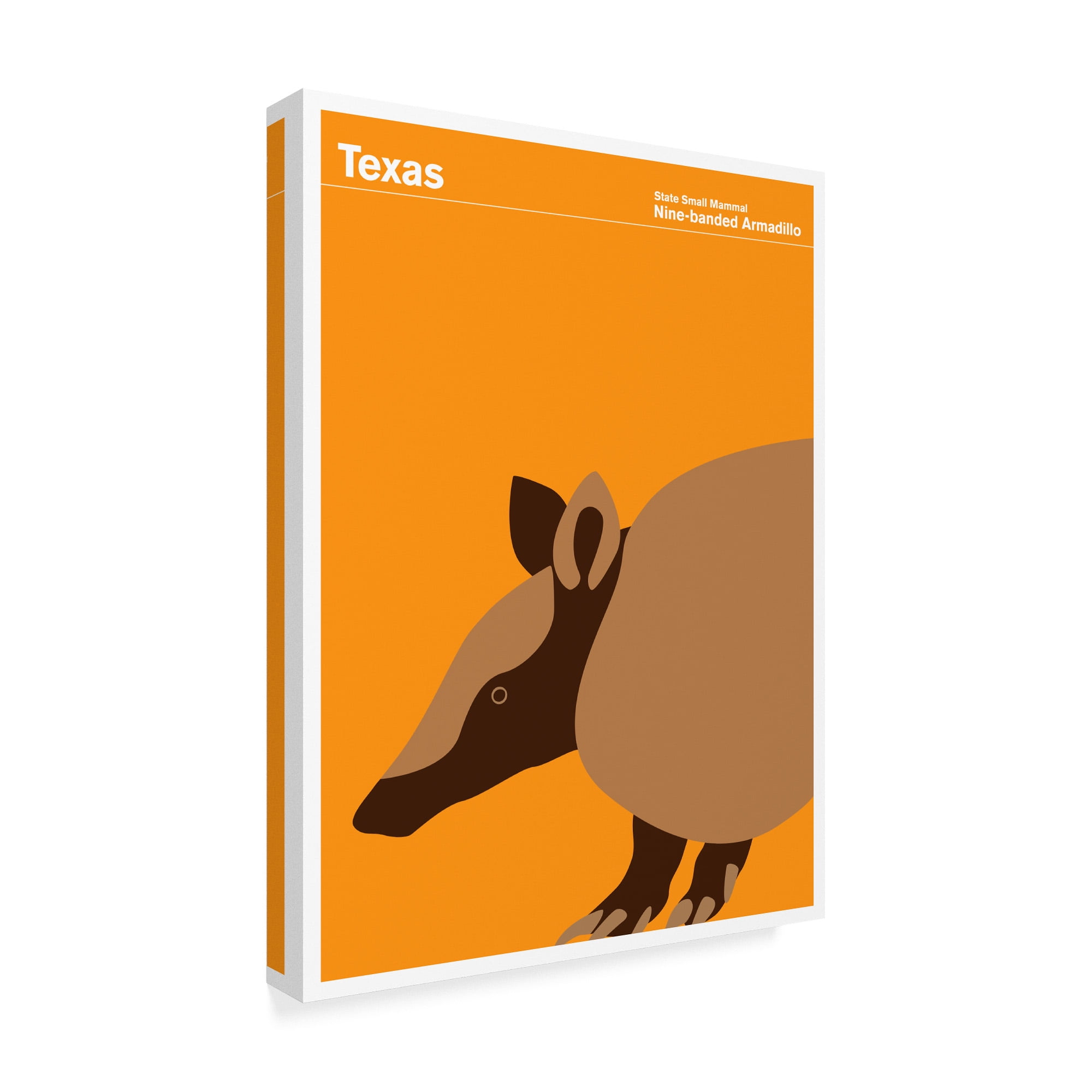 Trademark Fine Art 'Texas Armadillo' Canvas Art by Print Collection - Artist